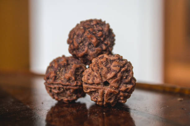 9 mukhi rudraksha benefits