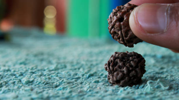 how to check original rudraksha in water