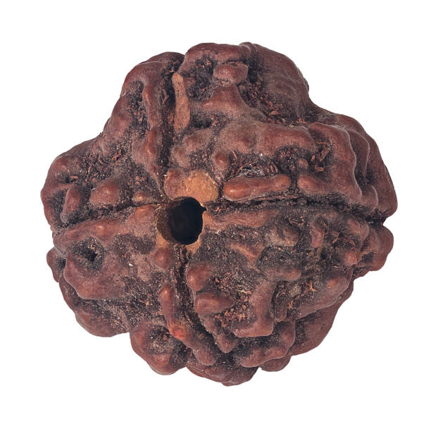 rudraksha 5 mukhi benefits